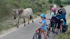 Family bike tour - Noord Holland Dunes, July 2016
