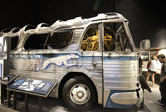 Selma Bus