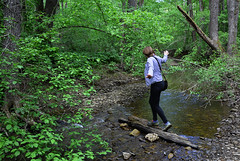 Spring hiking in the creek