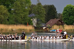 15. Drachenbootcup Königs Wusterhausen