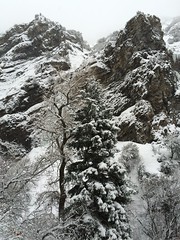 January 30, 2016 a (Provo River Trail/Battle Creek Canyon)