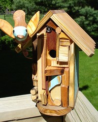 Bird and House