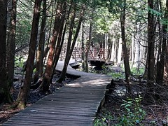 Hanlon Park trails & wildlife