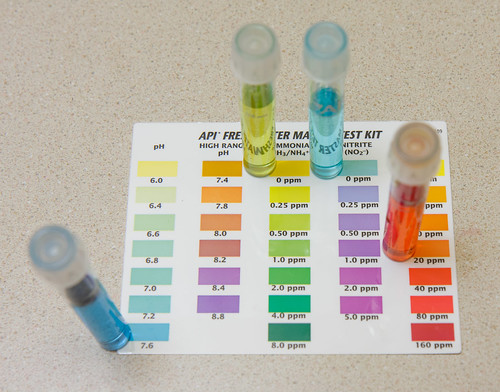PH, Ammonia, Nitrite, and Nitrate results against the color card for the API Freshwater Master Test Kit