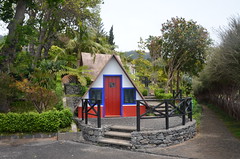 Tropical Garden Funchal Madeira