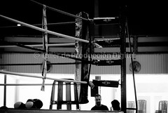 20110917 - 99 Visiones de una Velada de Boxeo