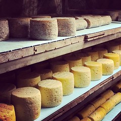 Fromage fermier au lait cru de La Fage #Lozère #fromage #lafage #grandrieu