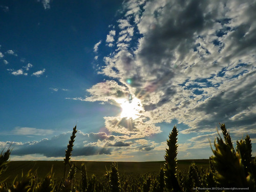 sunset weather clouds belgium wheat kanne muizenberg joethomissen 664freedom