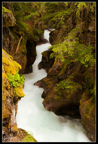 park blue water forest moss nikon montana glacier national gorge avalanche rushing d300 danheacock