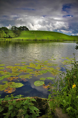 sky lake reflection green water clouds canon hill fields lilypads showers 1770 holstein tyrone heifers caledon 60d enagh