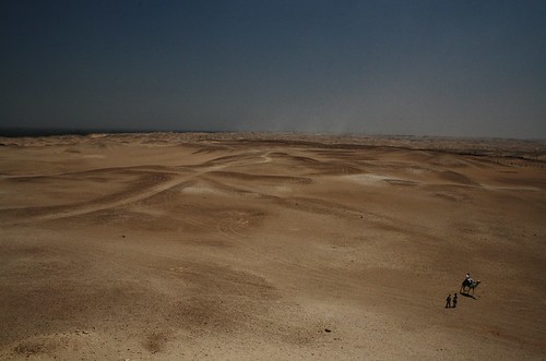 africa slr canon sand desert dunes egypt middleeast camel dahshur مصر eos400d