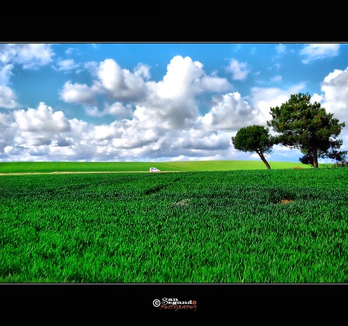 blue trees sky españa verde green grass car azul clouds landscape spain arboles paisaje coche cielo segovia nubes hierba cultivo castillayleón cultive fresnedadecuellar