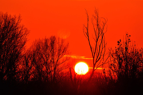 sunset red orange sun sunrise solar warm tramonto corona sole rosso arancio bosco caldo groane solare