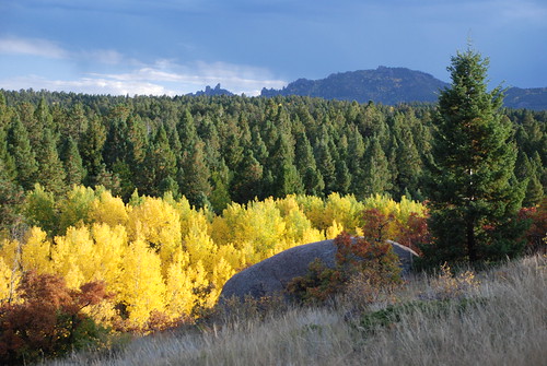 blue autumn trees sky cloud mountains tree green fall nature grass leaves yellow rock clouds forest rockies golden leaf colorado colorful view ground aspen coloradorockies
