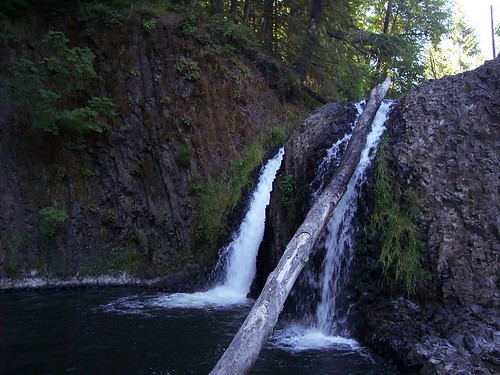 cliff oregon creek forest waterfall woods fishladder vernonia scappoose