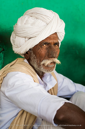old portrait india male men green smile wall closeup beard asian asia sitting adult emotion indian religion pride moustache growth mugshot characters facialhair copyspace turban wisdom oriental browneyes relaxation sideview staring hindu hinduism curiosity adultsonly oneperson rajasthan oldfashioned stubble headdress traditionalculture wrinkled headwear headandshoulders whitehair greyhair facialexpression brightcolour rajasthani handlebarmoustache greenbackground senioradult seniorman traditionalclothing realpeople humanhead humanface traveldestinations lookingatcamera blankexpression onlymen thehumanbody onemanonly matureadult indiansubcontinent plainbackground seniormen whiteturban traditionallyindian 4044years