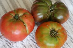 tomatoes 019
