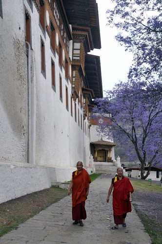 Phunaka Dzong monks