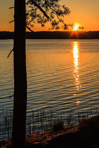 sunset summer orange sun lake tree finland karuna