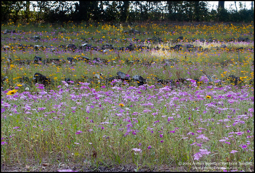 flowers fl palatka stateparks putnamcountyfl