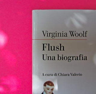 Virginia Woolf, Flush. Una biografia. A cura di Chiara Valerio; nottetempo, Roma 2012. progetto grafico di Dario e Fabio Zannier. copertina (part.), 5