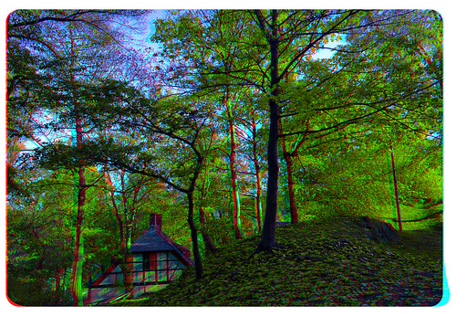 3d 3dphoto 3dstereo 3rddimension spatial stereo stereo3d stereophoto stereophotography stereoscopic stereoscopy stereotron threedimensional stereoview stereophotomaker stereophotograph 3dpicture 3dglasses 3dimage anaglyph anaglyph3d redcyan redgreen optimized anaglyphic anabuilder twin canon eos 550d yongnuo radio transmitter remote control synchron in synch kitlens 1855mm tonemapping hdr hdri raw cr2 quietearth europe germany saxony sachsen vogtland mylau cast burg architecture halftimbered house stud work