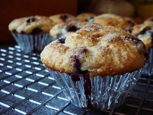 Old Fashioned Blueberry Muffin