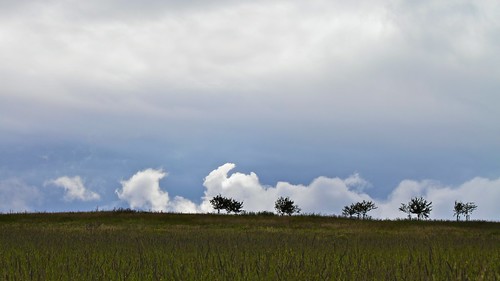 sky cloud tree nature clouds germany landscape deutschland scenery skies hessen cloudy country natur himmel wolke wolken scene telephoto land tele landschaft baum wolkig ldk haiger lahndillkreis lahndill