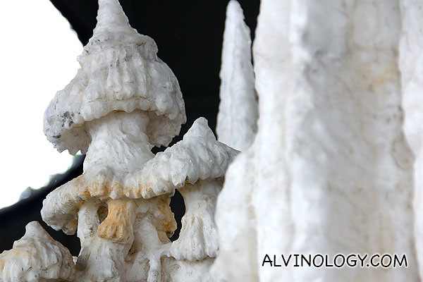 Mushroom shaped salt crystal