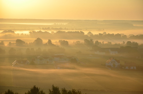 austria österreich gaas sunrise sonnenaufgang foggy fog neblig bodennebel burgenland