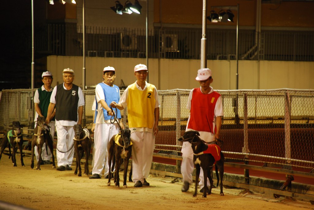 Greyhound Racing in Macau