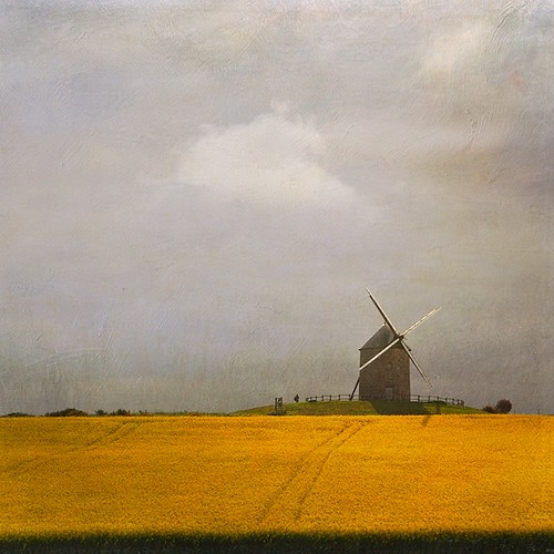 morning light painterly france field yellow french europe horizon montstmichel rapeseed moulinàvent