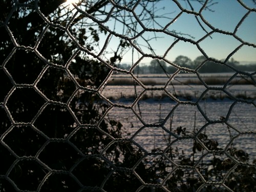 winter sunrise fence frost