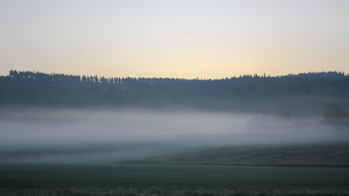 morning field june fog night sunrise sweden dalarna fors avesta dalarnacounty