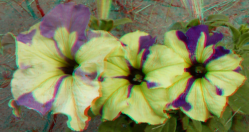 stereoscopic stereophoto anaglyph iowa siouxcity anaglyphs redcyan 3dimages 3dphoto 3dphotos 3dpictures stereopicture