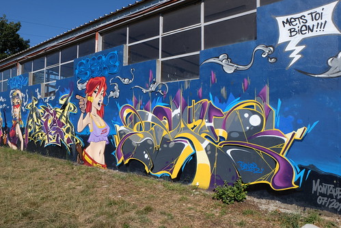 montauban toulouse matabiau gare train graf graffs graffiti graffitis spray aerosol painting bombing fresque tren mur urban art