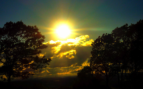 blue sunset tree silhouette yellow rural walks shropshire shrewsbury hills haughmondhill mygearandme dblringexcellence me2youphotographylevel1