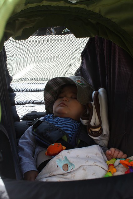 Crashed out in the Stroller