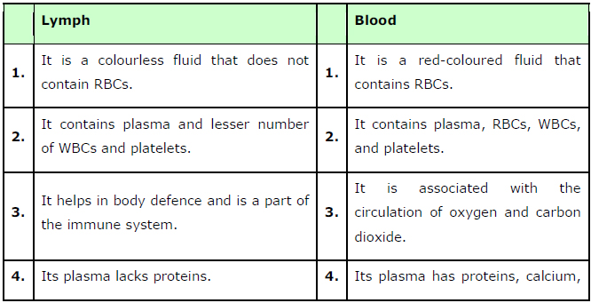 difference between blood and lymph composition