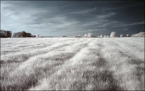 trees field grass clouds p93 ir action sony cybershot foliage infrared 630nm khromagery greatnorthpark