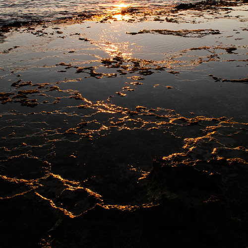 ocean light sunset summer usa water canon hawaii oahu united powershot sparkle ko catching states g11 olina