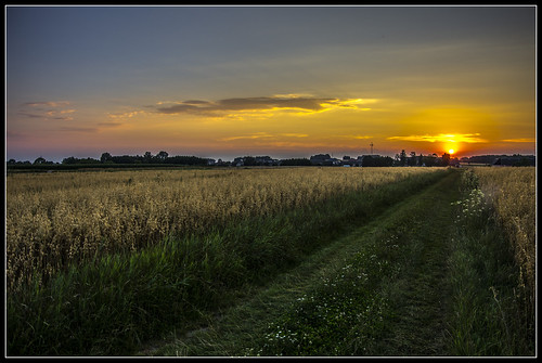 road trip sunset summer vacation sun nature colors field europa pentax poland area end wriggler haliday wizna