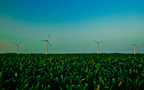 field corn energy farm turbine kincardine windfarm nspp
