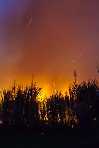 australia aus canoneos5dmkii qld cairns sugar cane canonef70200mmf28lisusm fire burning burn