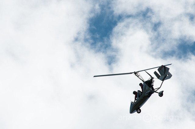 A gyrocopter flying above Van Westen Vineyards!