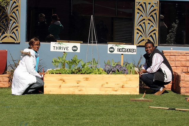 The ONE garden in the Big Brother Africa house