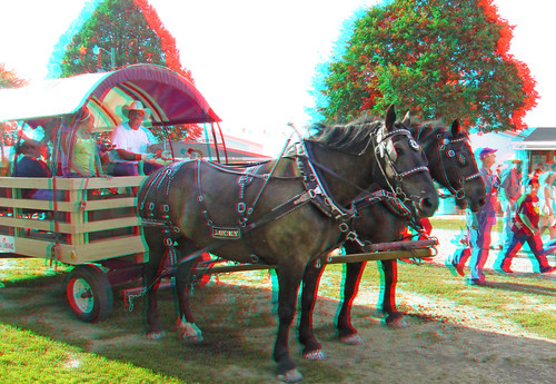 county horses stereoscopic stereophoto 3d plymouth fair anaglyph iowa stereo countyfair redcyan 3dimages 3dphoto 3dphotos 3dpictures stereopicture plymouthcountyfair