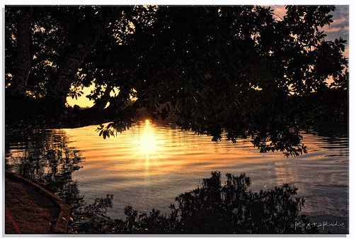 sunset shadow sky sun tree water silhouette reflections nikon branch edge flare ripples overhang d90 fotografdude