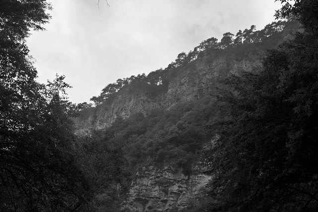 Agura Falls: Rocks and Trees