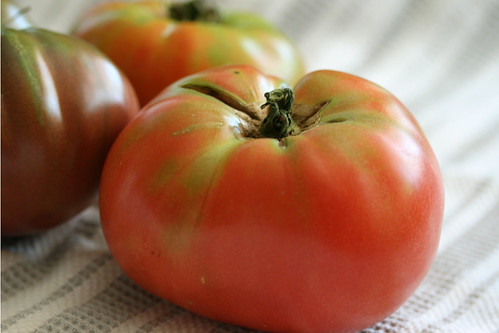 tomatoes 005